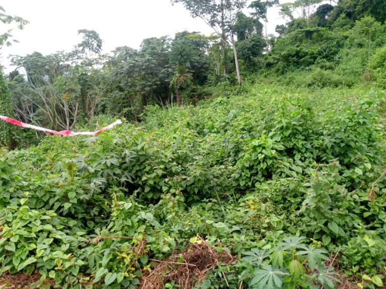 Land NYOM